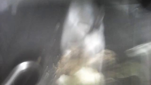 Как кролик ест я плачу смотреть онлайн