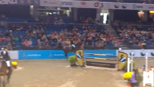 Akvelins (Avellynus x Kolibri) @TIHS2017 смотреть онлайн