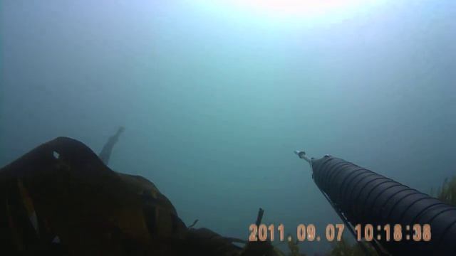 PICT0023 lieus ,mulet et chinchard смотреть онлайн