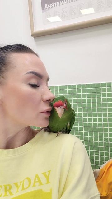 Элвис приехал на рентген. смотреть онлайн