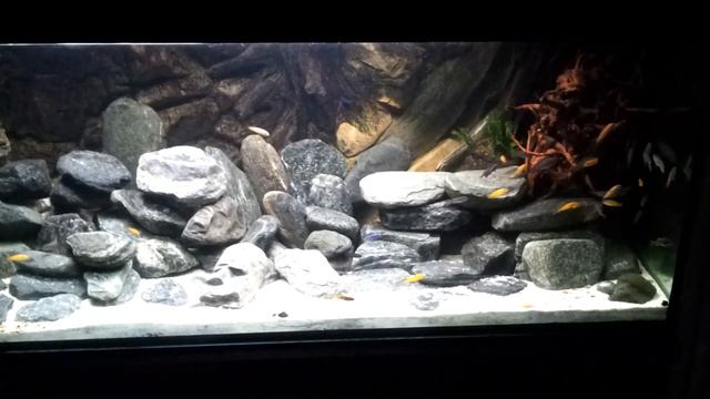 malawi tank смотреть онлайн