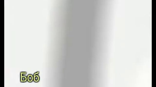 можно покупац двух джуигарских хомяков смотреть онлайн