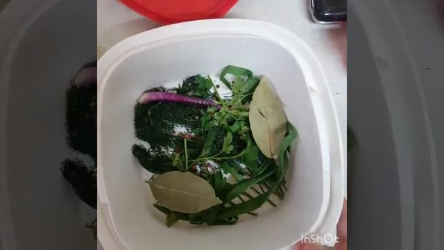 Скумбрия в Термосервирователе от Tupperware смотреть онлайн