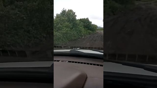Баклан на прогулки смотреть онлайн