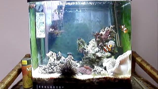 Mini Nemo смотреть онлайн