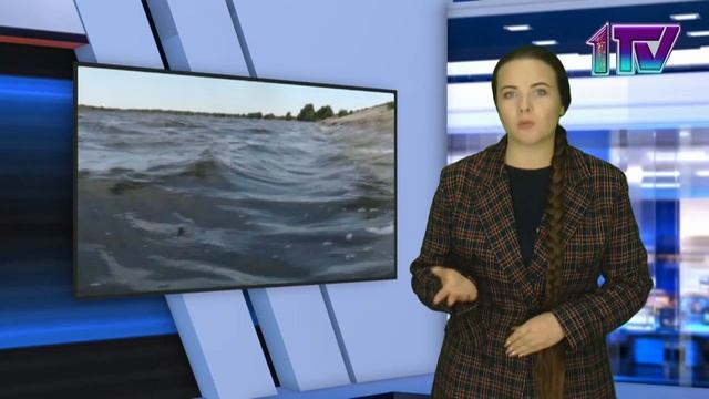 02.10.23. Свыше 15 тонн незаконно добытого рачка Артемия салина изъяли полицейские СКО смотреть онлайн