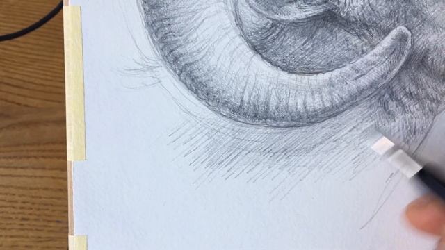 🖋Muflon Silverpoint смотреть онлайн