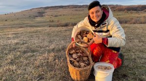Сезон не заканчивается?! Собираю грибы перед новым годом