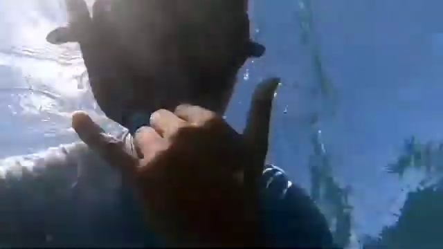 121022227 206587347488841 1618647119278522437 n смотреть онлайн