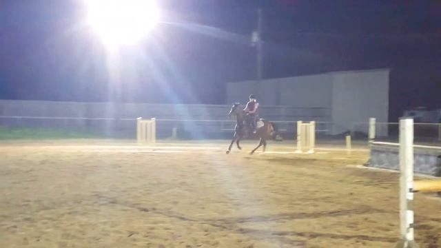 Jumping Lesson with Marabou смотреть онлайн