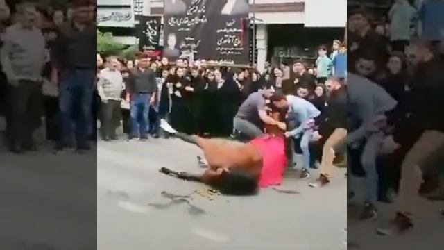 Конь в иране смотреть онлайн