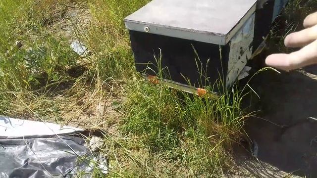 ТРУТОВКА =(МАТКИ какМУХИ) смотреть онлайн