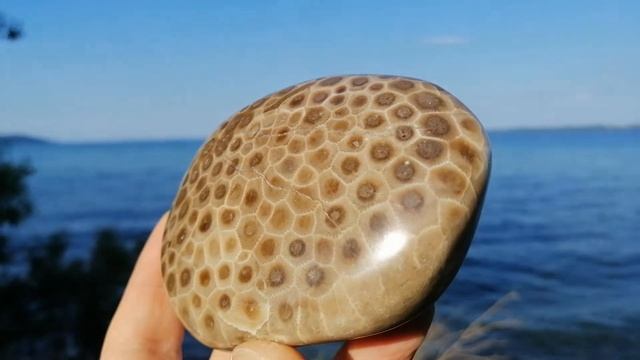 SHORELINE PETOSKEY SHOP : Petoskey Stone 032 смотреть онлайн