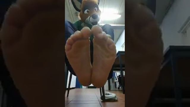 Barefoot Fursuit Furries 3