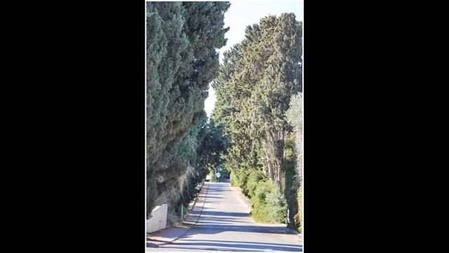 Israel. Moshav Avihayil near Netanya смотреть онлайн