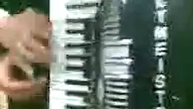 Павлин акордеониста смотреть онлайн