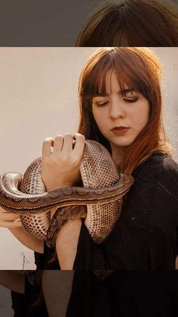 पत्नी से गुस्सा शख्स ने अजगर को मुंह से कुतर दिया! #shorts смотреть онлайн