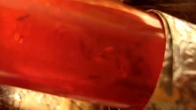 Lasius niger beim jagen смотреть онлайн