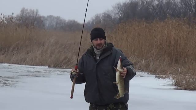 щука вторая-1.5 кг. смотреть онлайн