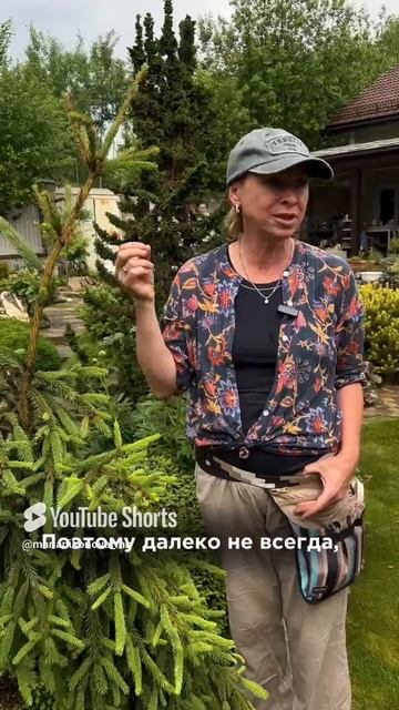ЖИЗНЕННАЯ СИЛА ВРЕДИТЕЛЕЙ смотреть онлайн
