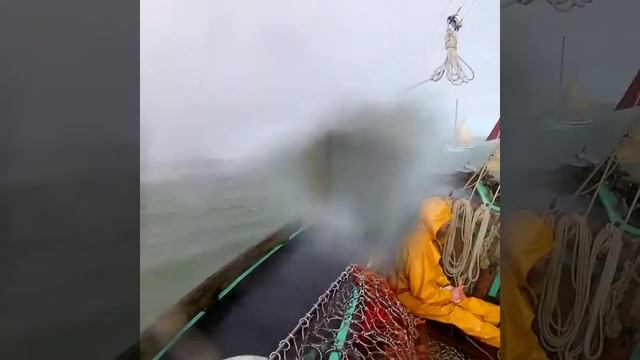 AlfSmythers GatheringNativeOysters PortTack DippingSixBrothers смотреть онлайн