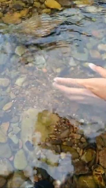 Man Catching Fish | Sea Animal | Fresh Water Animal - #Shorts Video#22 смотреть онлайн