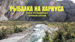 РЫБАЛКА НА ХАРИУСА В ГОРНОМ АЛТАЕ. ДОЛИНА РЕКИ ЧУЛЫШМАН #хариус #flyfishing #рыбалканахариуса