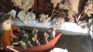 Дед Мазай и зайцы