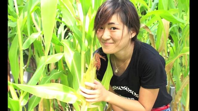 Organic Grow Season4 by Saiyuan Estate Organic Passion смотреть онлайн