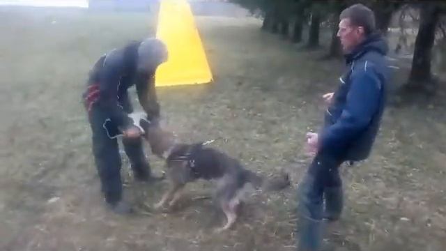 mafia смотреть онлайн