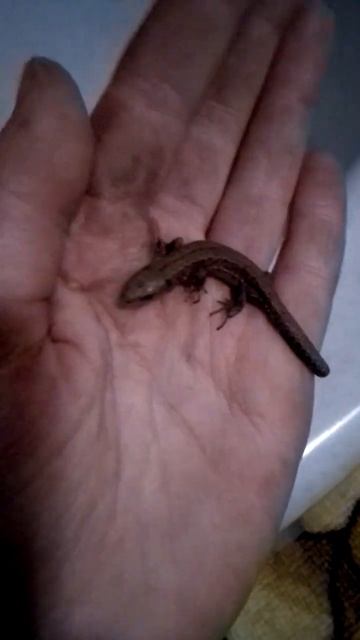 17 апреля 2023 г. смотреть онлайн