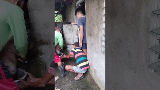 Kinatay na Ang baboy.... смотреть онлайн