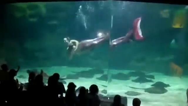 настоящая русалка смотреть онлайн