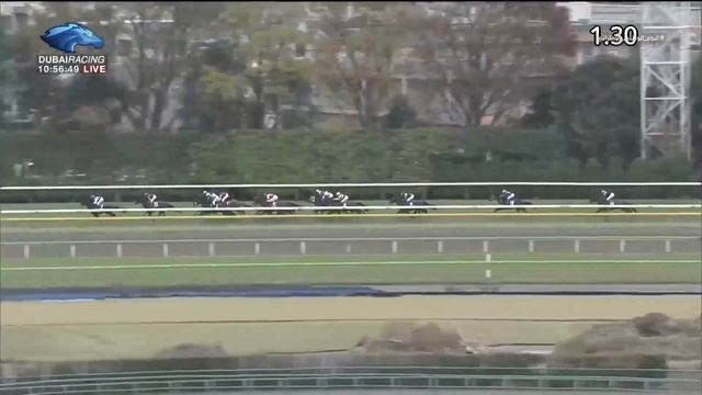 2019.11.24 Japan Cup - Suave Richard смотреть онлайн