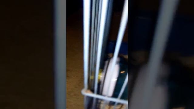 Что должно быть в клетке хомяка. смотреть онлайн