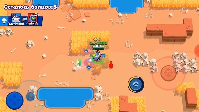 Играю в Brawl Stars (выбил тару и других...) смотреть онлайн