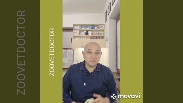 Вывих коленного сустава, вывих коленной чашечки у собак, панельный вывих у собак #ушаковдмитрий смотреть онлайн