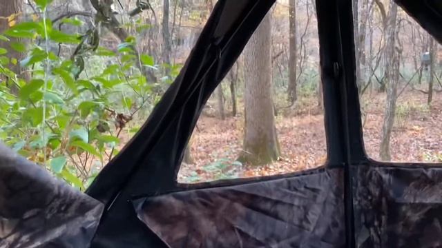 Coyote, 2 Deer in less than a minute!! смотреть онлайн