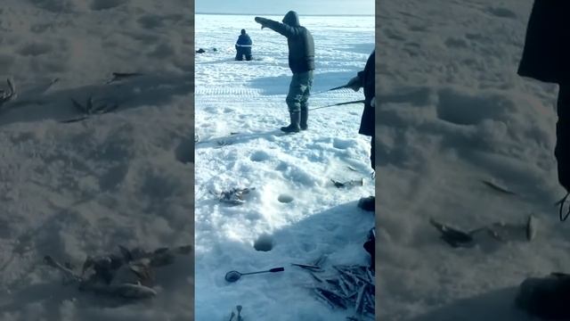 Зубарик некрасовка 2 смотреть онлайн