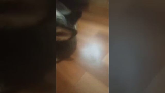Ава смотреть онлайн