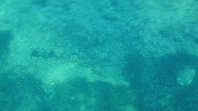 Paddle surf Puerto de Mazarrón смотреть онлайн