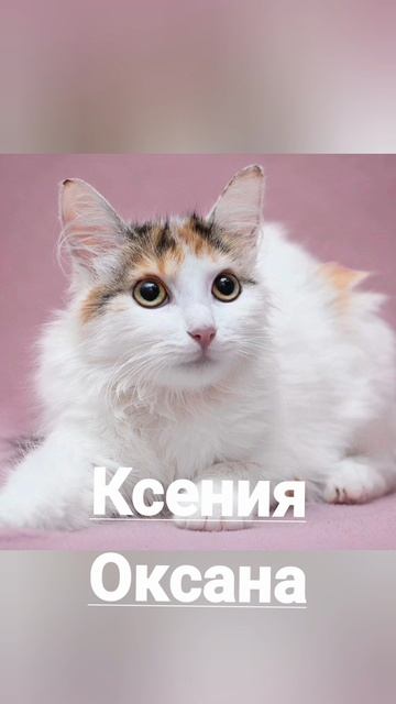 Именины 6 февраля