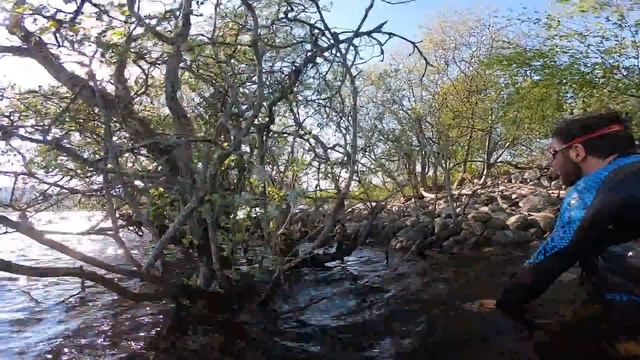 Family Boat Race смотреть онлайн
