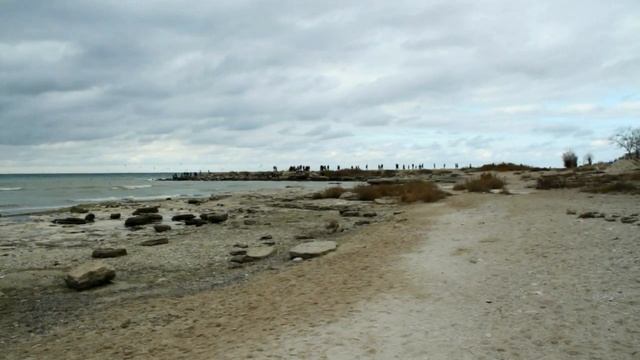 Чайки Актау Каспий тобы Ақтау (02.01.15) смотреть онлайн