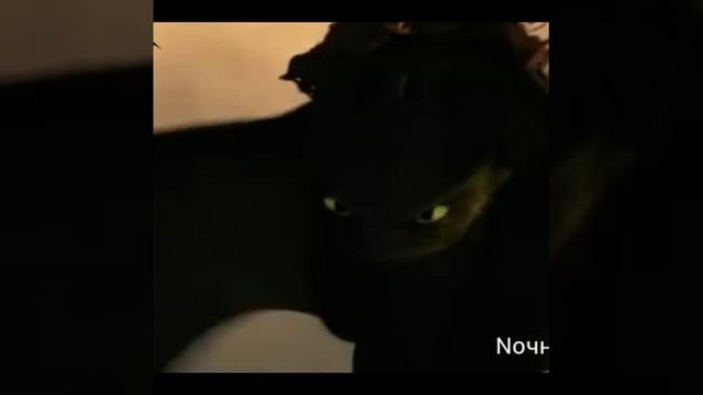 Беззубик и дневная фурия песен еще ненаписанных кукушка смотреть онлайн