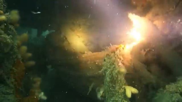 Скапа Флоу смотреть онлайн