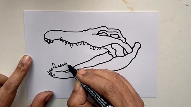 Alligator Skull line drawing./ How to draw Alligator Skull easy and step by step. смотреть онлайн