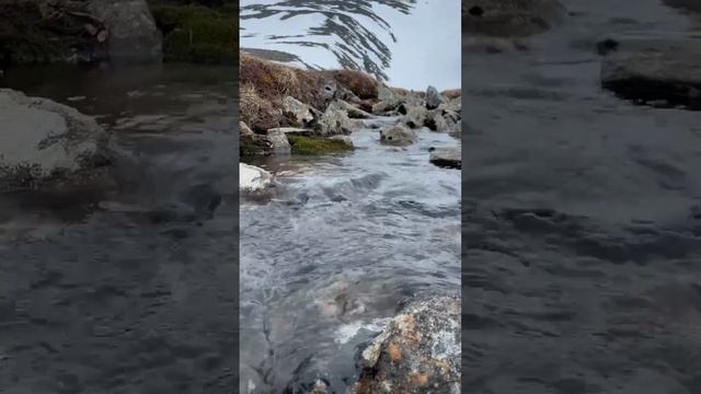 Раскатываем квадроциклами "РОСОМАХА" квадросезон на Полярном Урале!!16 июня 2024 г. смотреть онлайн