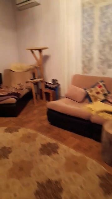 Холодно в России!)//It's cold in the houses of Russia! смотреть онлайн