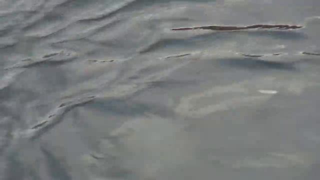 ПИТЕРСКИЕ САВКИ смотреть онлайн